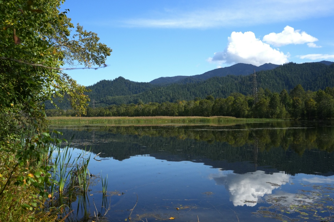 Мониторинг окружающей среды позволит управлять экологическими рисками и осуществлять комплексное прогнозирование.