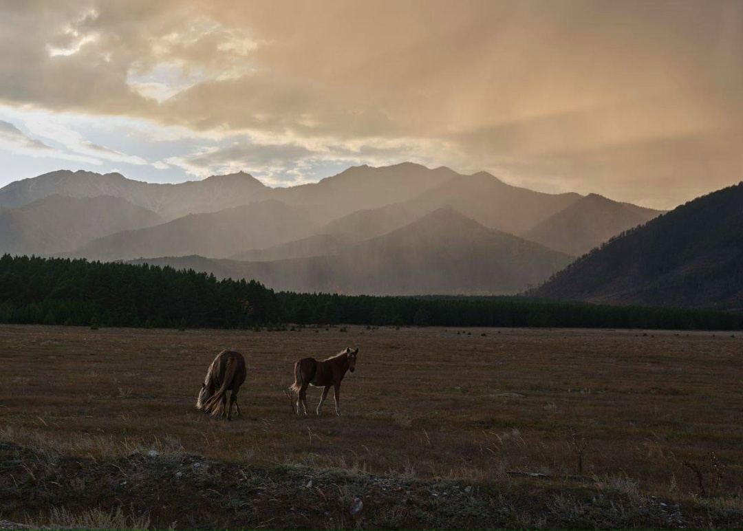 Страна глазами нефтяника За 15 лет — 9 фотовыставок, посвящённых красоте российских просторов. Такой творческий путь прошёл наш коллега из Урая — Антон Петров.