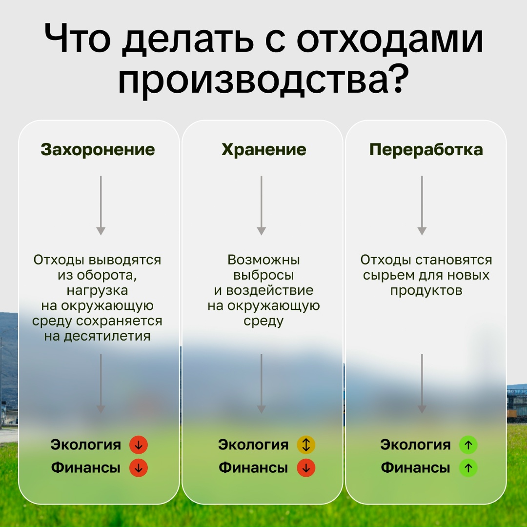 Как заработать на переработке и защитить природу?