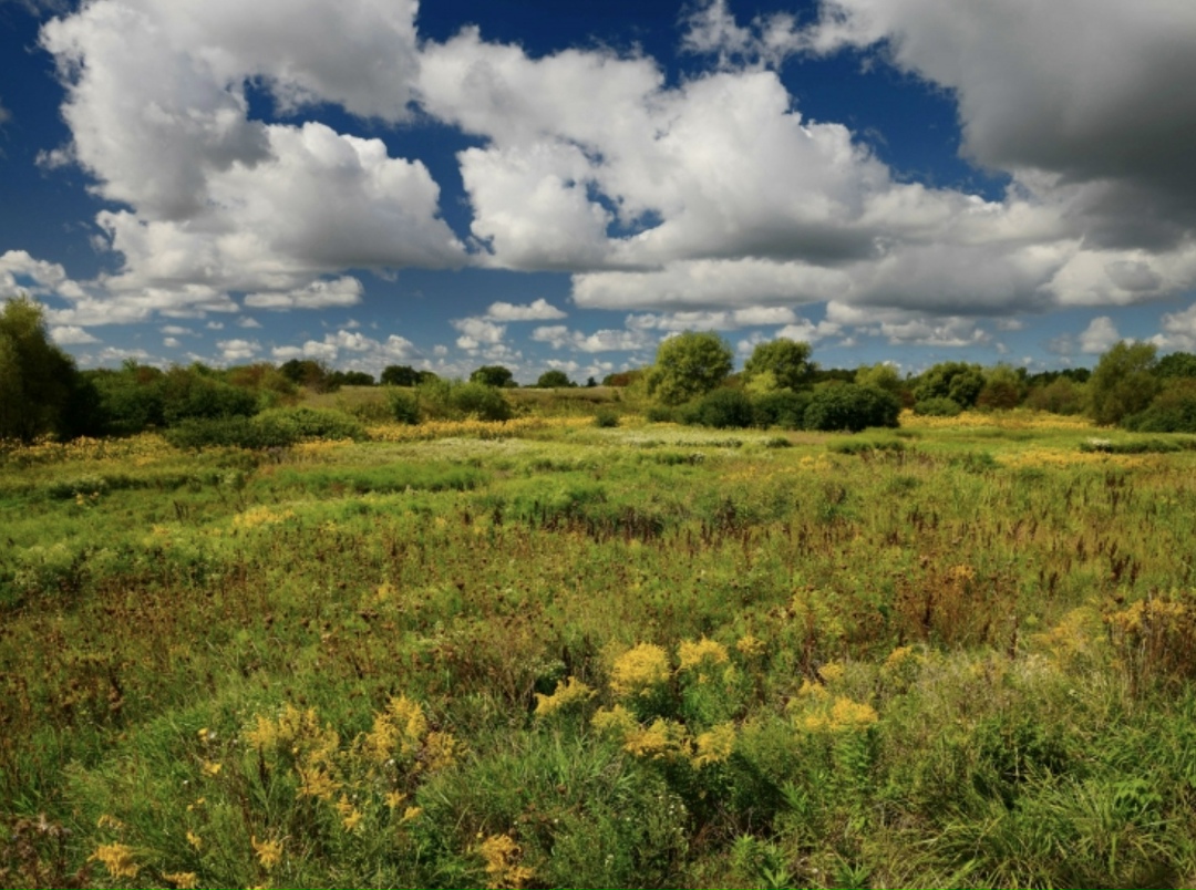 В 2025 году в России вырос спрос на услуги, связанные с частным сельским хозяйством и подготовкой земельных участков к агропроизводству. По данным сервиса…