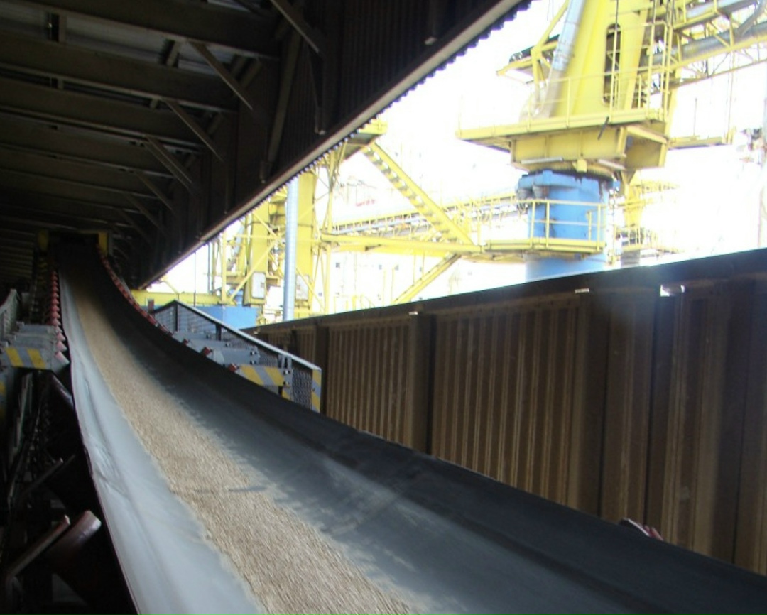 Экспортный потенциал зерновых агрокультур в 2026 году составляет 55 млн т. Об этом министр сельского хозяйства Оксана Лут сообщила в ходе IV международного…