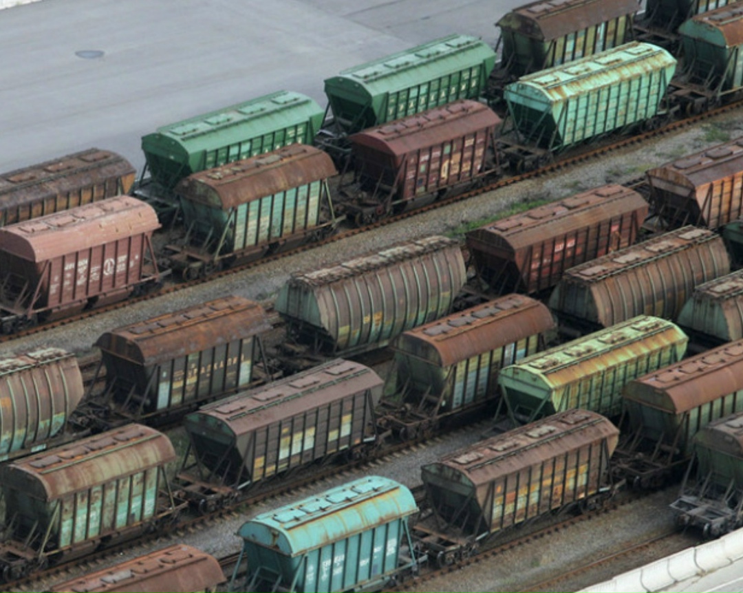 Аналитический центр «СовЭкон» повысил прогноз экспорта пшеницы из России в сезоне-2025/26 на 1,1 млн т, до 45,7 млн т. Корректировка связана с высокими темпами…