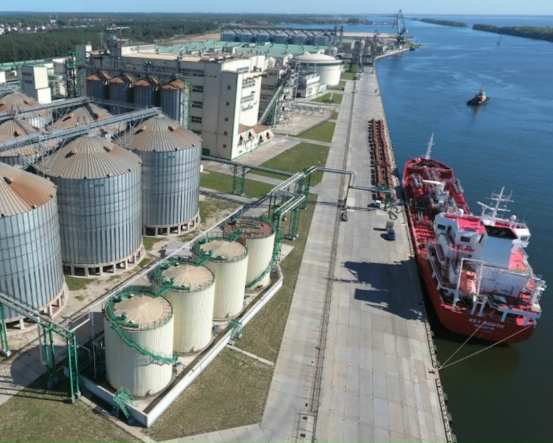 Доля стран Ближнего Востока в экспорте российской пшеницы в июле-декабре 2025 года увеличилась до 39% против 28% годом ранее, пишет «Интерфакс» со ссылкой на…