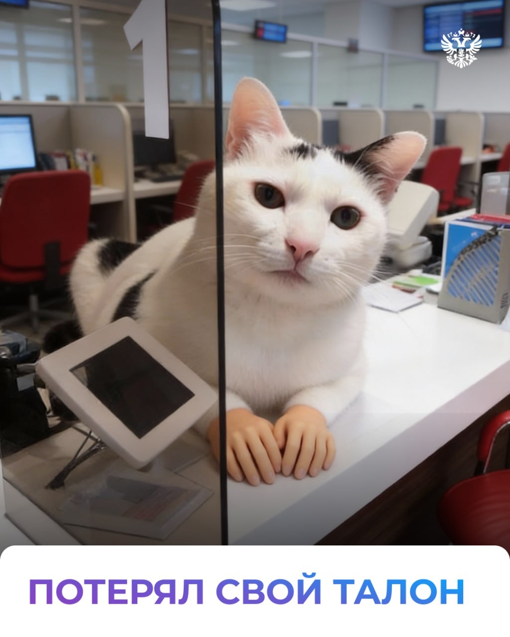 Талон в руке, паспорт где-то в сумке, впереди — очередь. Угадаете, что за место? Всё верно, МФЦ