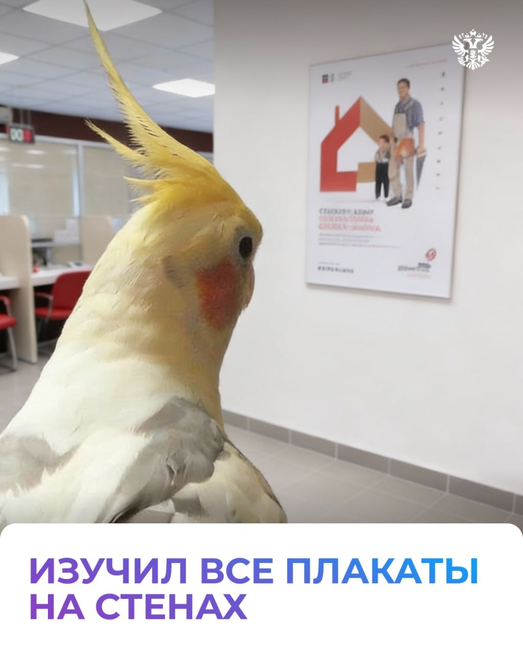 Талон в руке, паспорт где-то в сумке, впереди — очередь. Угадаете, что за место? Всё верно, МФЦ