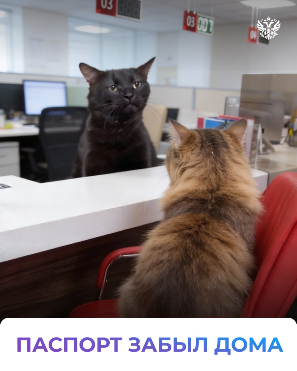 Талон в руке, паспорт где-то в сумке, впереди — очередь. Угадаете, что за место? Всё верно, МФЦ