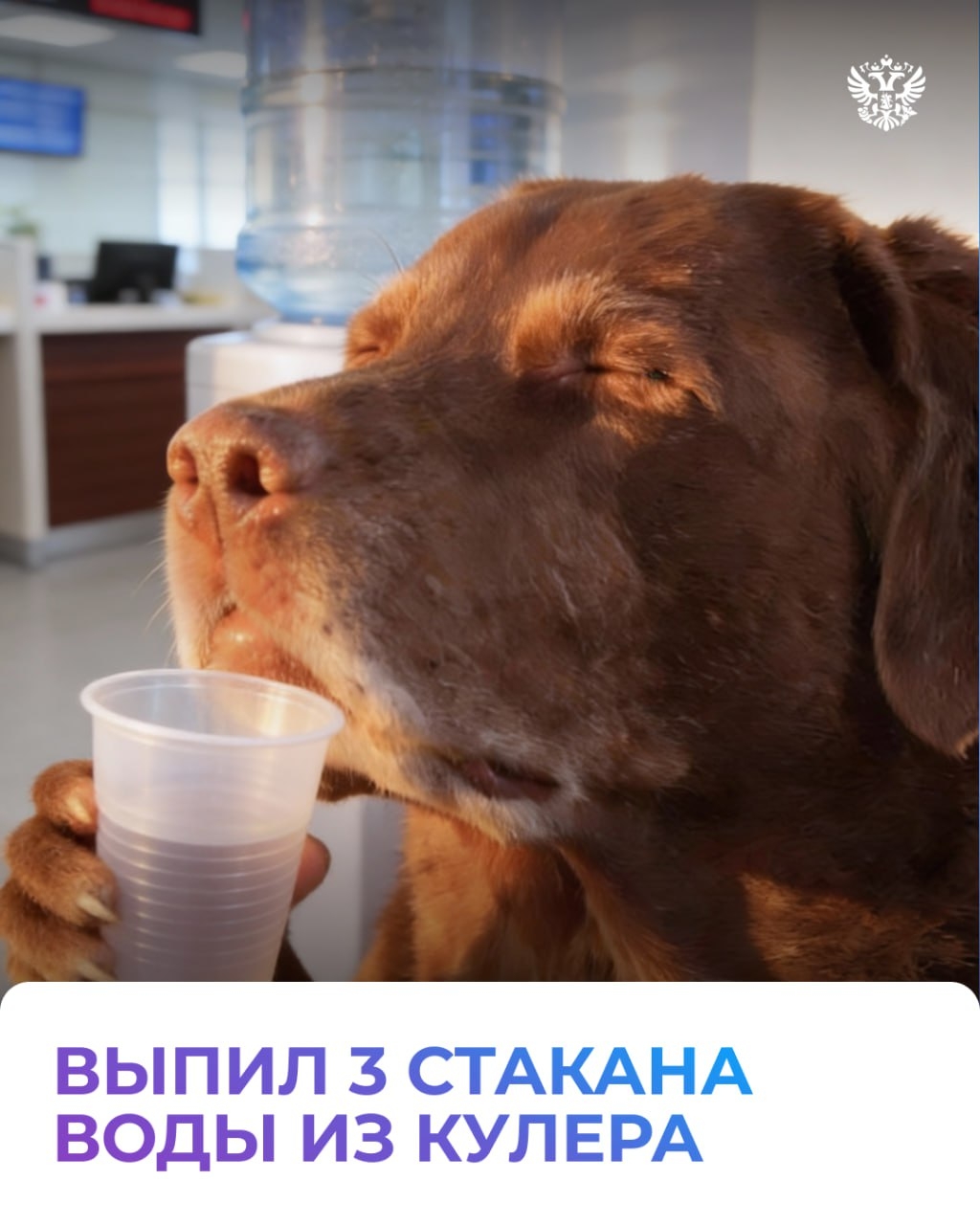 Талон в руке, паспорт где-то в сумке, впереди — очередь. Угадаете, что за место? Всё верно, МФЦ