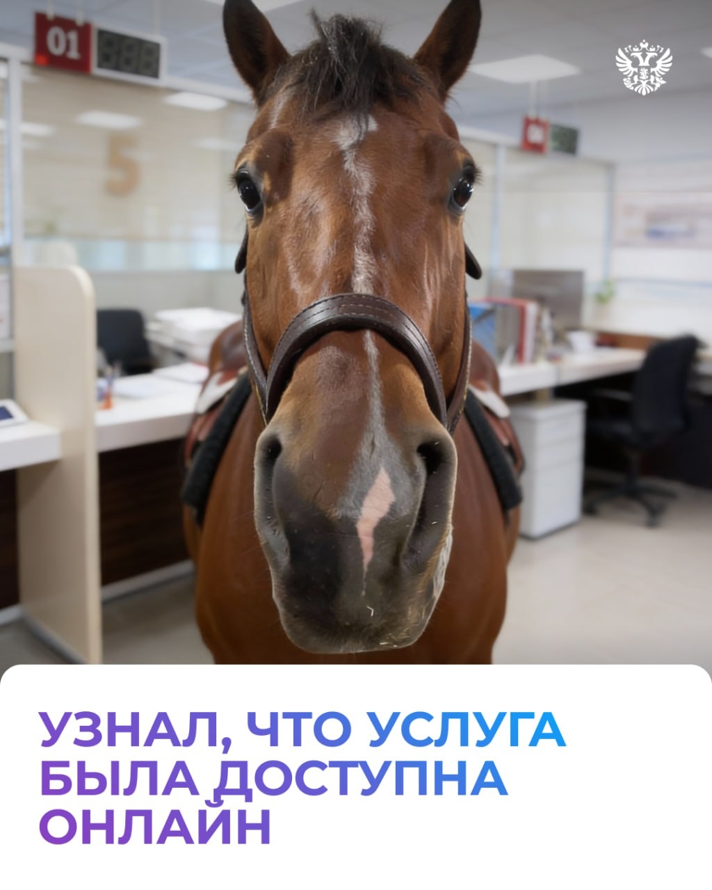 Талон в руке, паспорт где-то в сумке, впереди — очередь. Угадаете, что за место? Всё верно, МФЦ