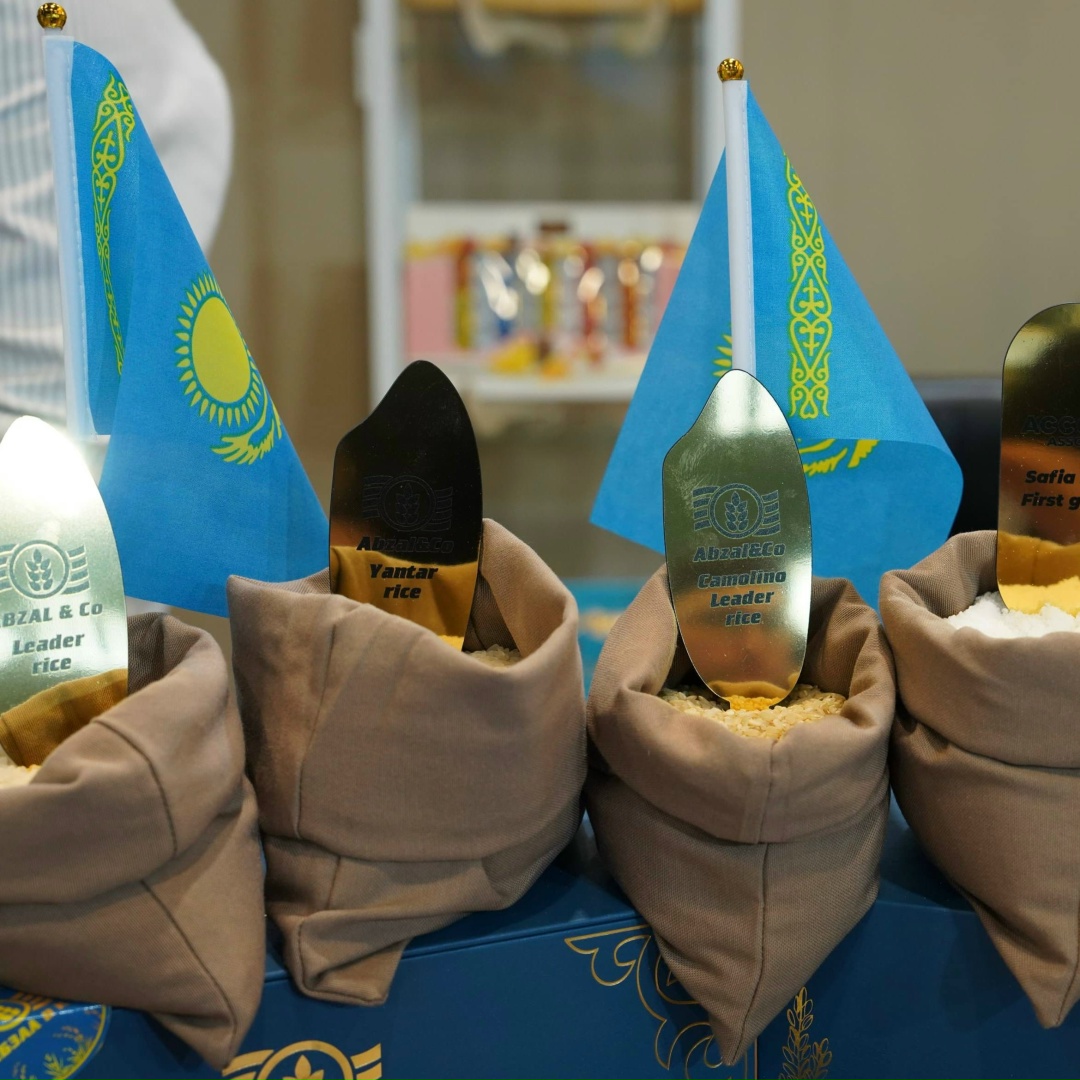 Оксана Лут и Айдарбек Сапаров обсудили развитие научно-технологического сотрудничества в АПК между Россией и Казахстаном