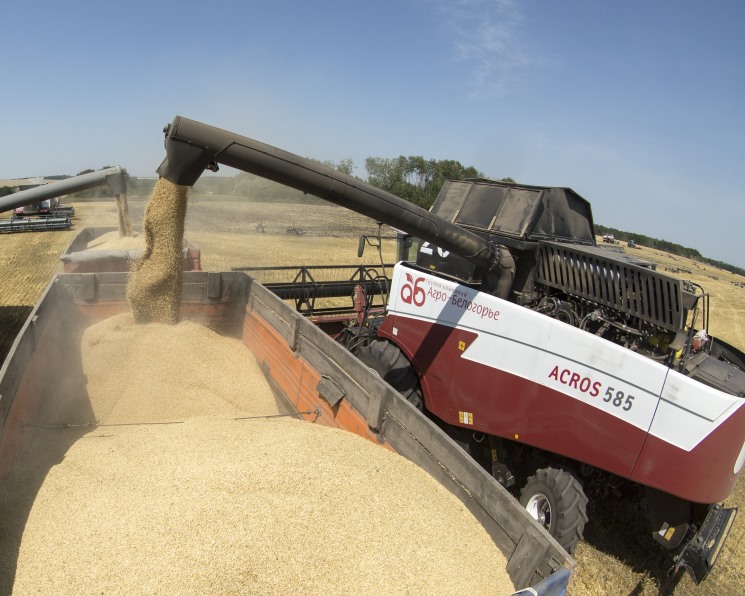 По уточненным данным Росстата, урожай зерновых и зернобобовых культур в 2025 году составил 138,76 млн т в весе после доработки, в том числе 90,9 млн т пшеницы…