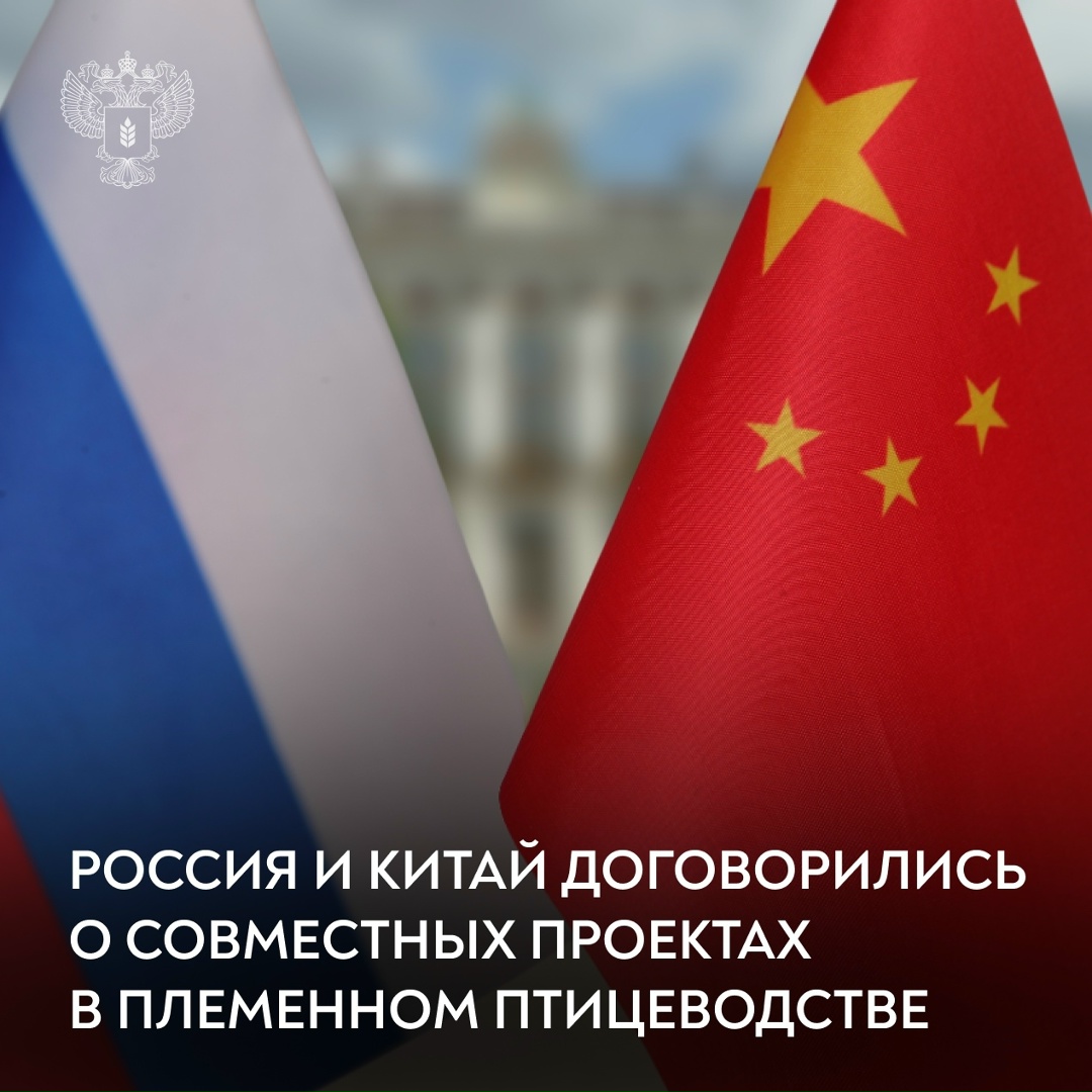 Россия и Китай договорились о совместных проектах в области племенного птицеводства