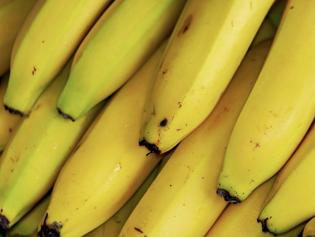 Компания «ПлодоВитта» в ближайшие месяцы начнет строительство двух тепличных комплексов для выращивания бананов в Ставропольском крае. Первый урожай…