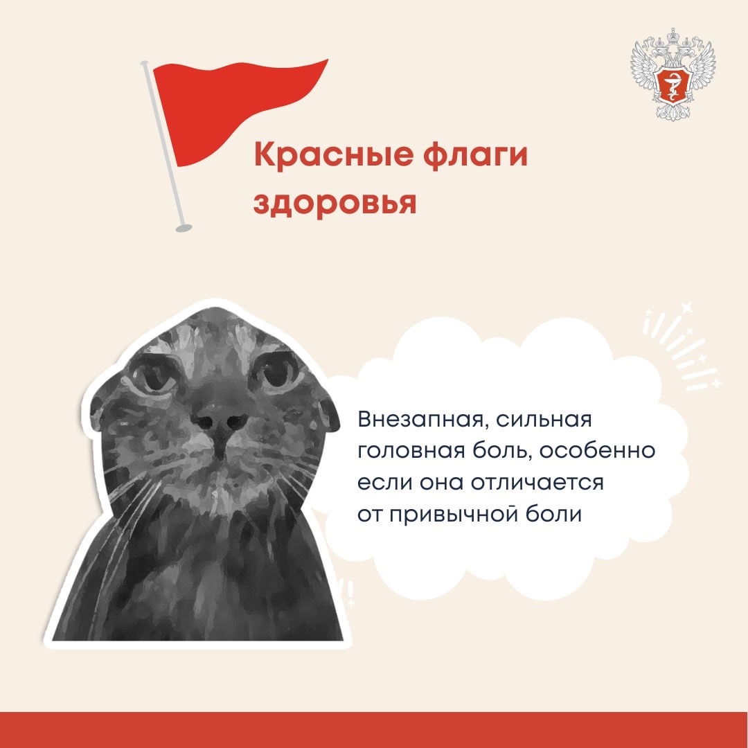 #ПростыеПравила: «Красные флаги», которые нельзя игнорировать