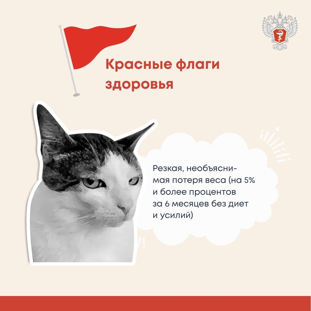 #ПростыеПравила: «Красные флаги», которые нельзя игнорировать