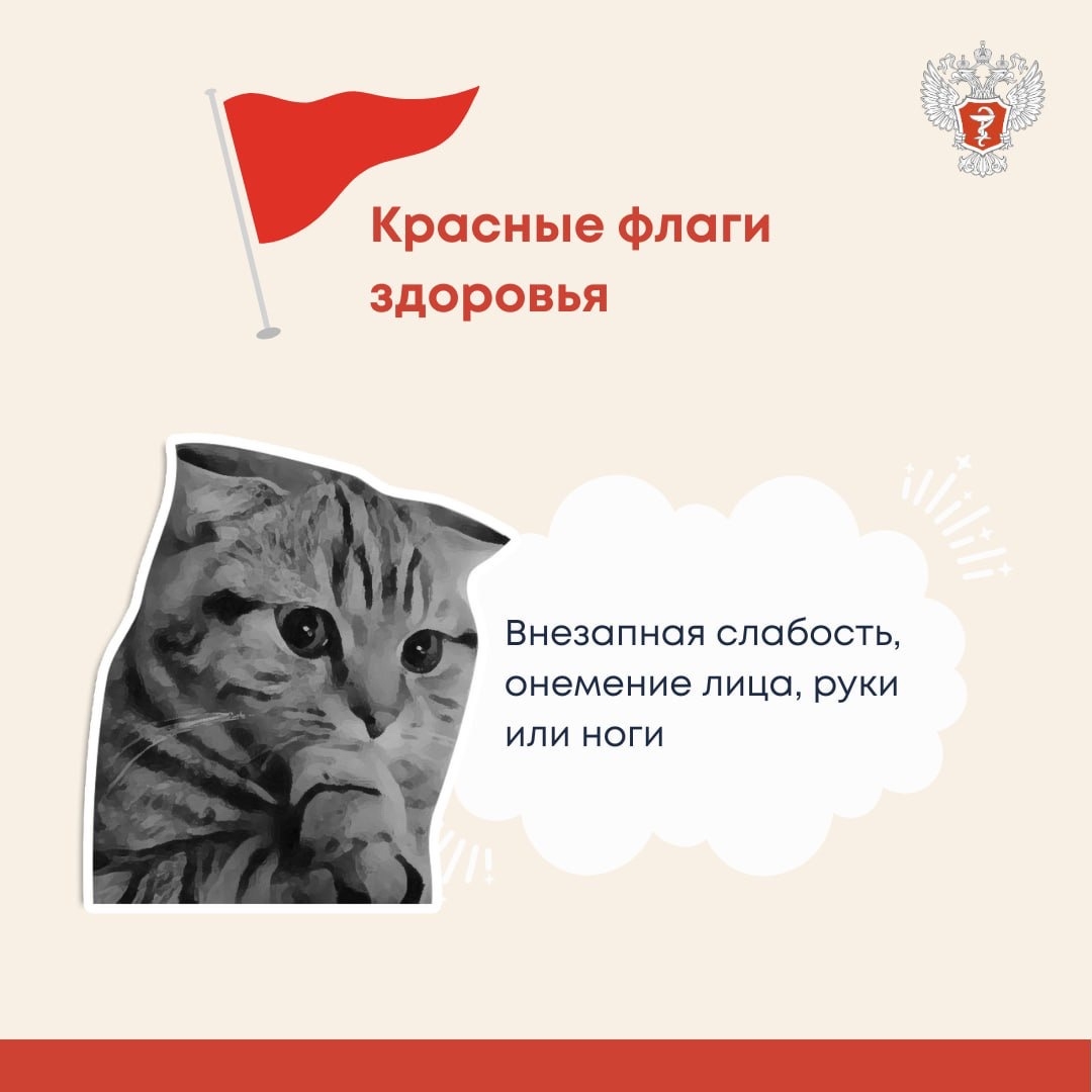 #ПростыеПравила: «Красные флаги», которые нельзя игнорировать