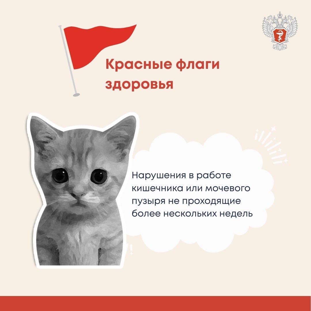 #ПростыеПравила: «Красные флаги», которые нельзя игнорировать