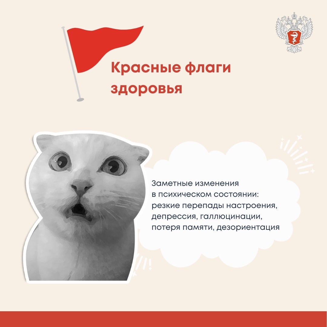 #ПростыеПравила: «Красные флаги», которые нельзя игнорировать