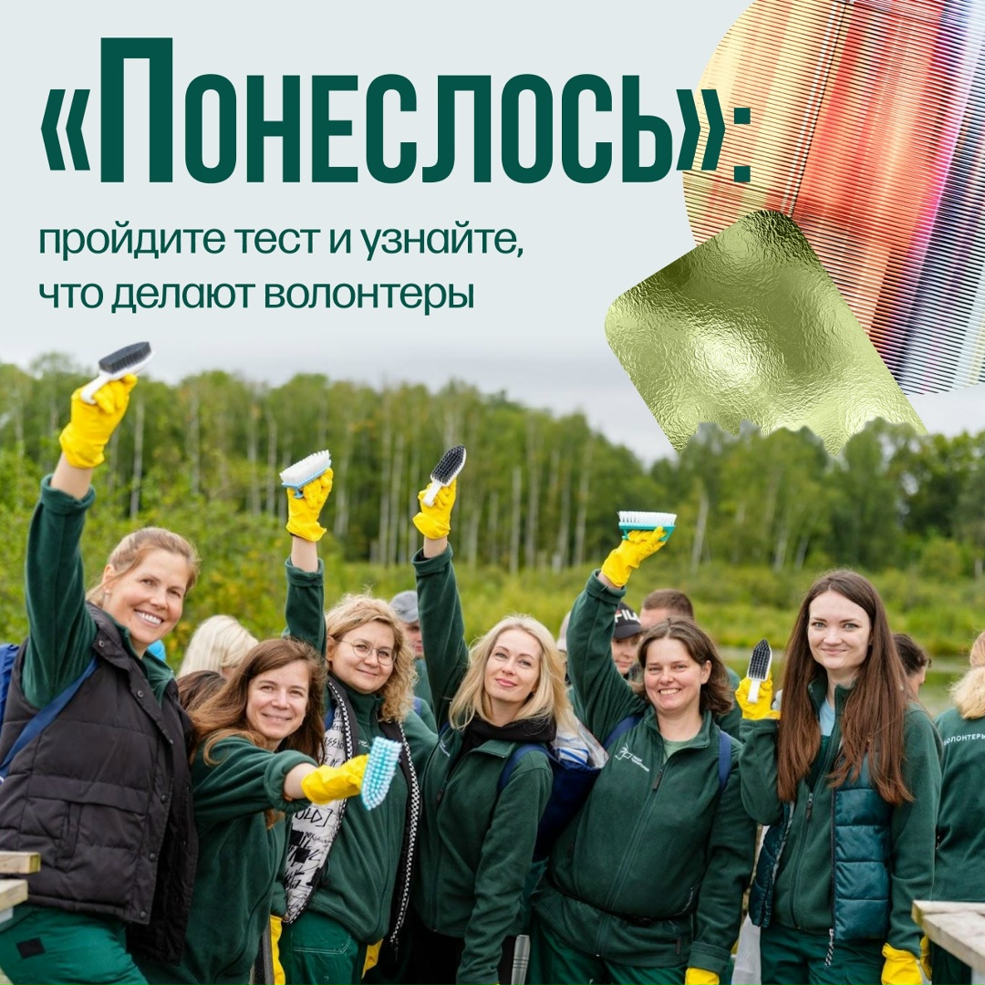 Что могут волонтеры? Собрать 140 мешков мусора и тонны металлолома, высадить 300 молодых деревьев, очистить озеро Станционное — это лишь часть проделанной…