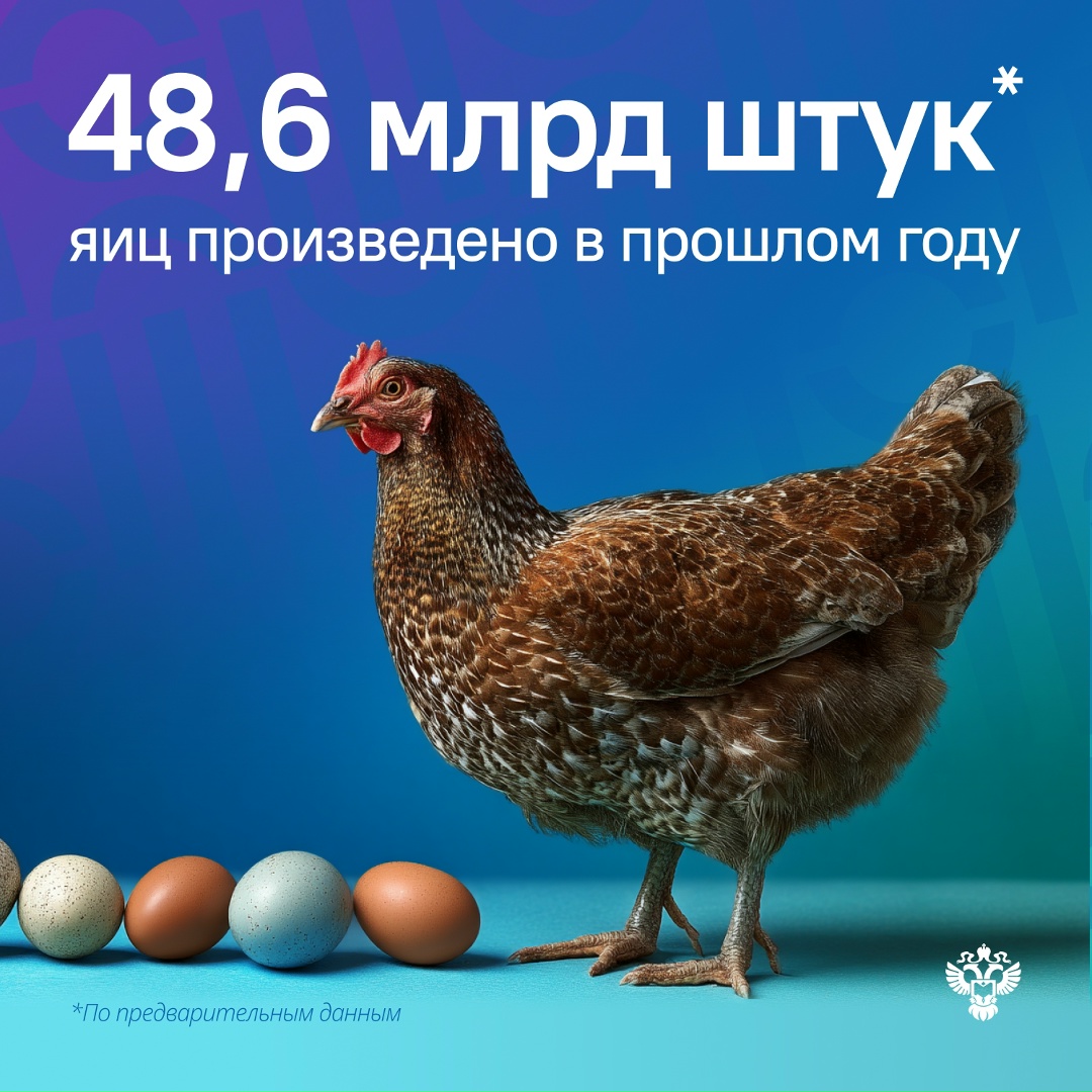 Это примерно 133 млн яиц в день и +4,3% к предыдущему году