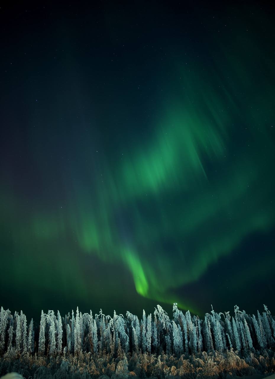 Всем отличного настроения и доброго воскресного утра!