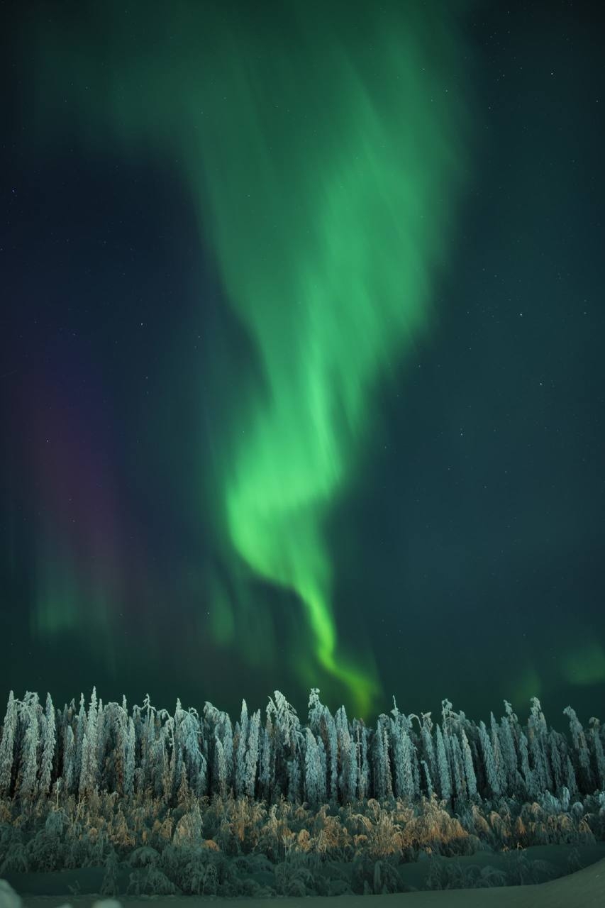 Всем отличного настроения и доброго воскресного утра!