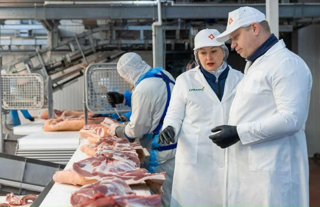 Белгородский свинокомплекс «Сибагро» успешно прошел аттестацию Россельхознадзора и получил право на экспорт мясной продукции и субпродуктов в Корейскую…