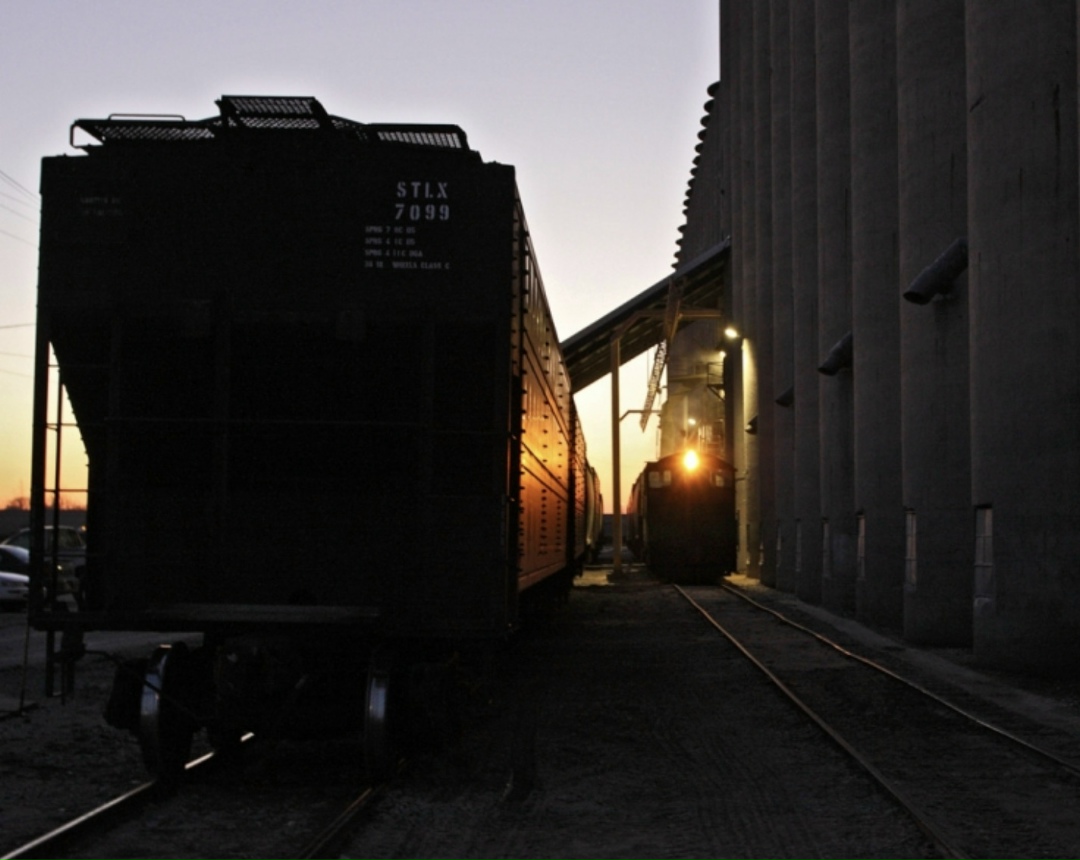 Минсельхоз предложил понизить предельные цены на пшеницу, при достижении которых в сезоне-2026/27 могут быть проведены закупочные и товарные интервенции