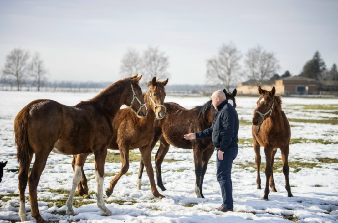 На конном заводе «Восход» (входит структуру «Прогресс Агро») началась активная фаза сезона выжеребки, который стартовал в середине января и продлится до…