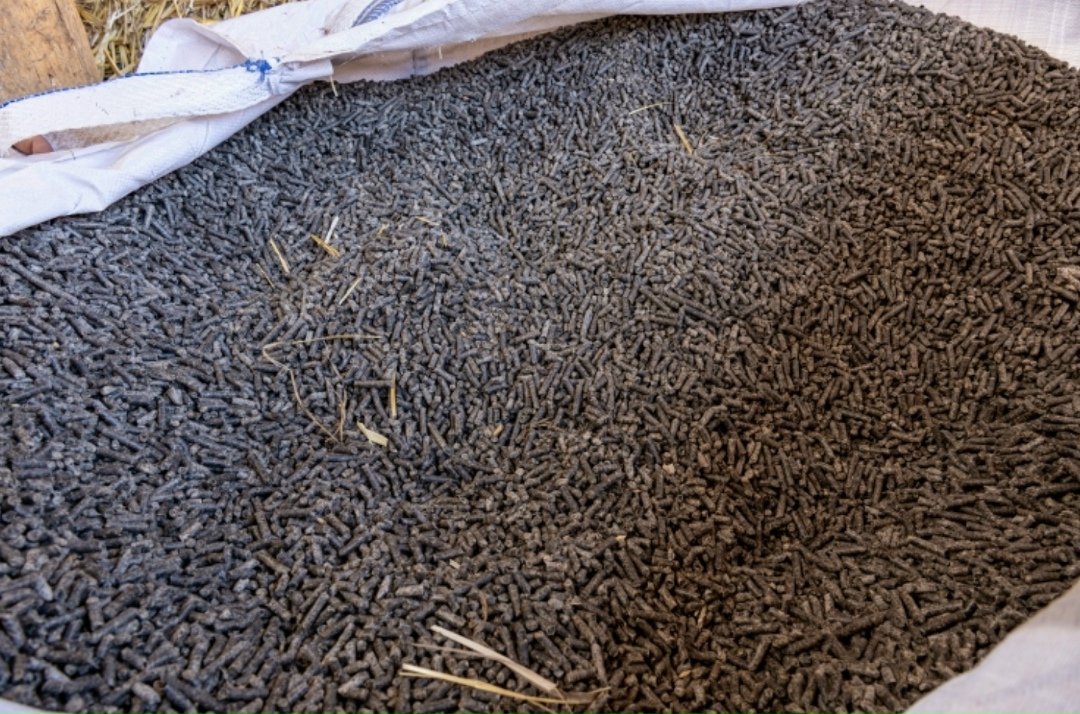 На Национальной товарной бирже были заключены первые сделки со свекловичным жомом в режиме биржевых товарных аукционов. Заказчиком аукциона стала группа…