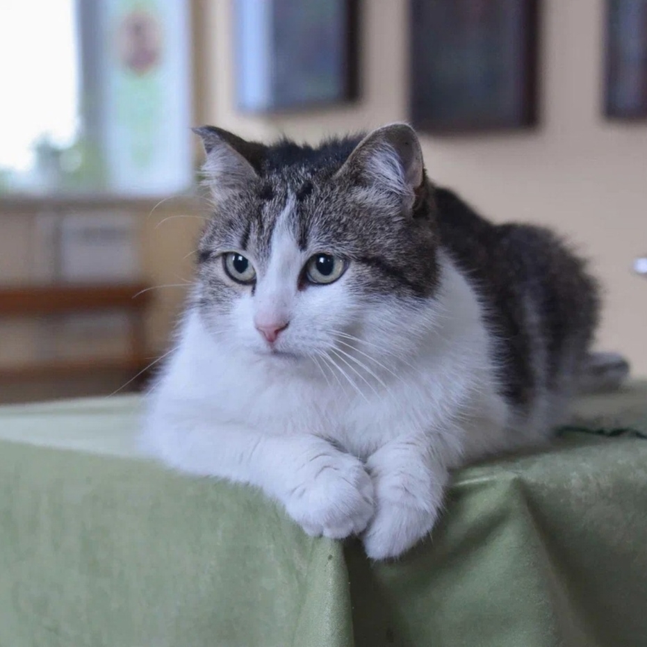 В селе Медяны Кировской области стоит Троицкая церковь, построенная еще в XVIII веке. Это объект культурного наследия и памятник архитектуры. Долгие годы…