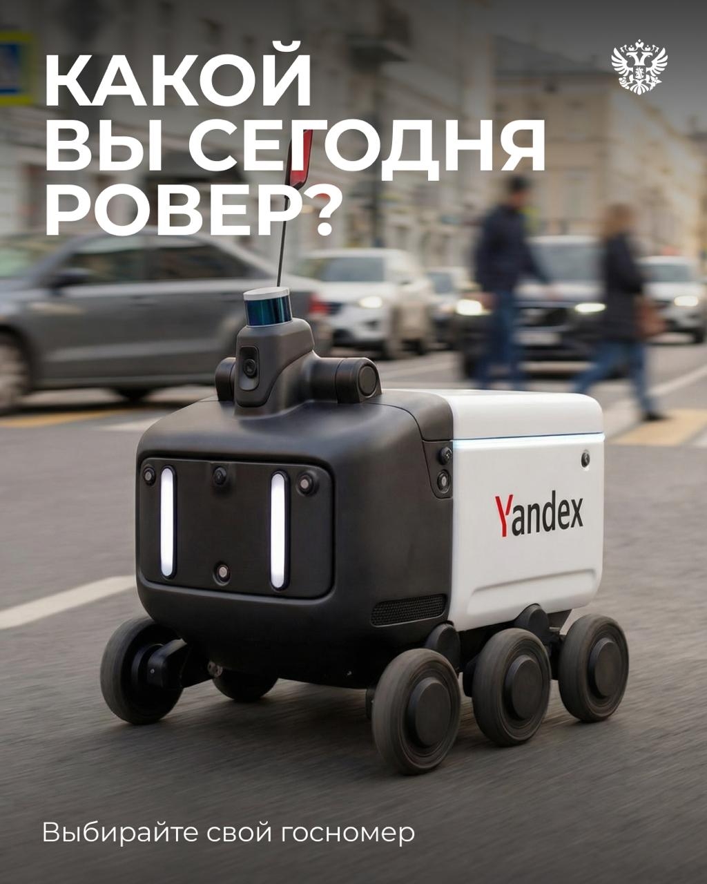 Шустрый, гуляет по своим делам и всегда возвращается домой. Речь не про котика, но тоже про кого-то милого