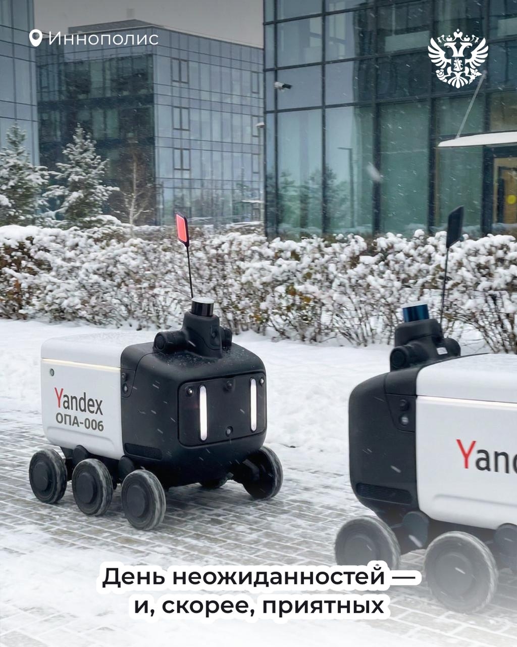 Шустрый, гуляет по своим делам и всегда возвращается домой. Речь не про котика, но тоже про кого-то милого