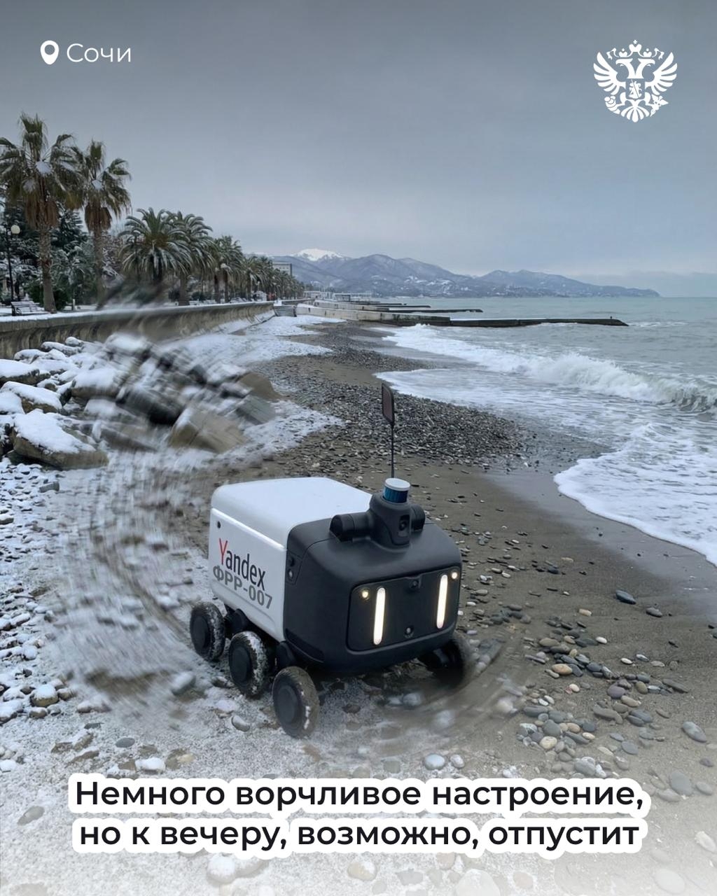 Шустрый, гуляет по своим делам и всегда возвращается домой. Речь не про котика, но тоже про кого-то милого