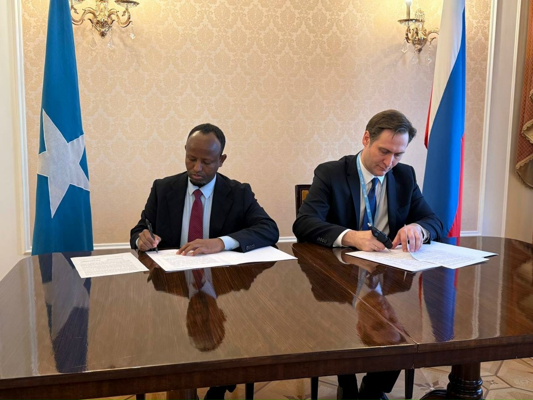 Россия и Сомали развивают сотрудничество в сфере здравоохранения