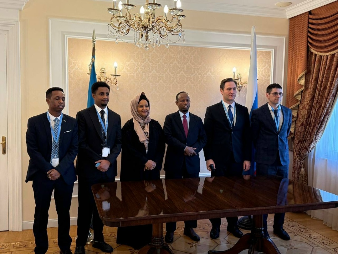 Россия и Сомали развивают сотрудничество в сфере здравоохранения