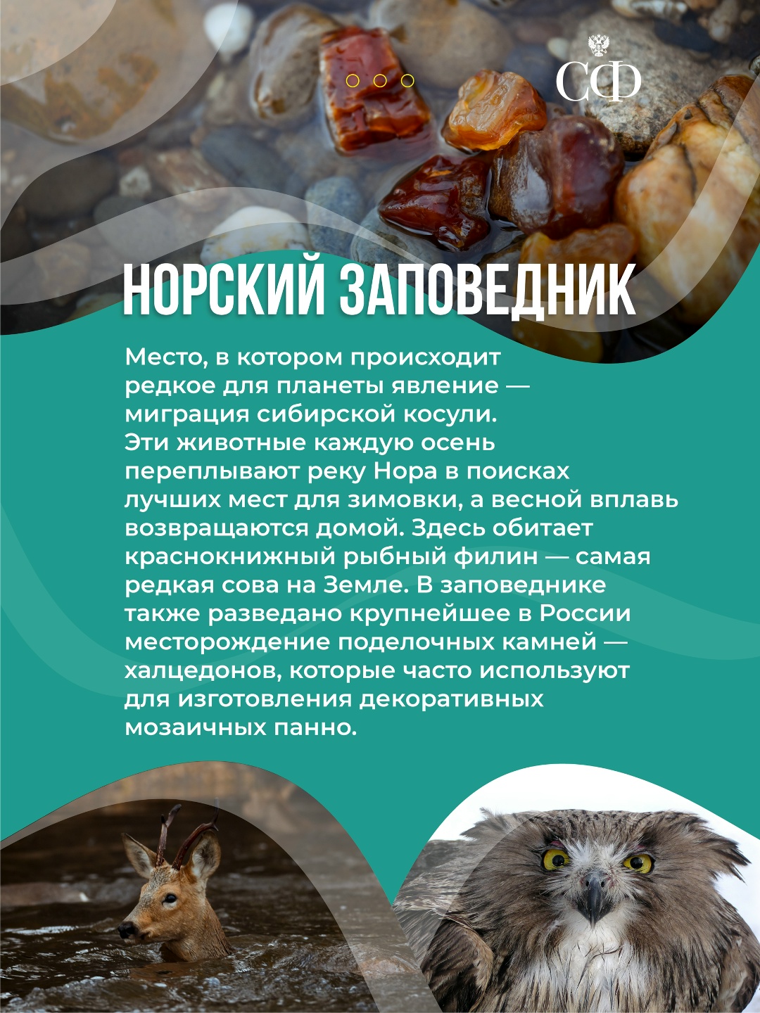 На пленарном заседании Совета Федерации начался «Час субъекта РФ», посвящённый Амурской области