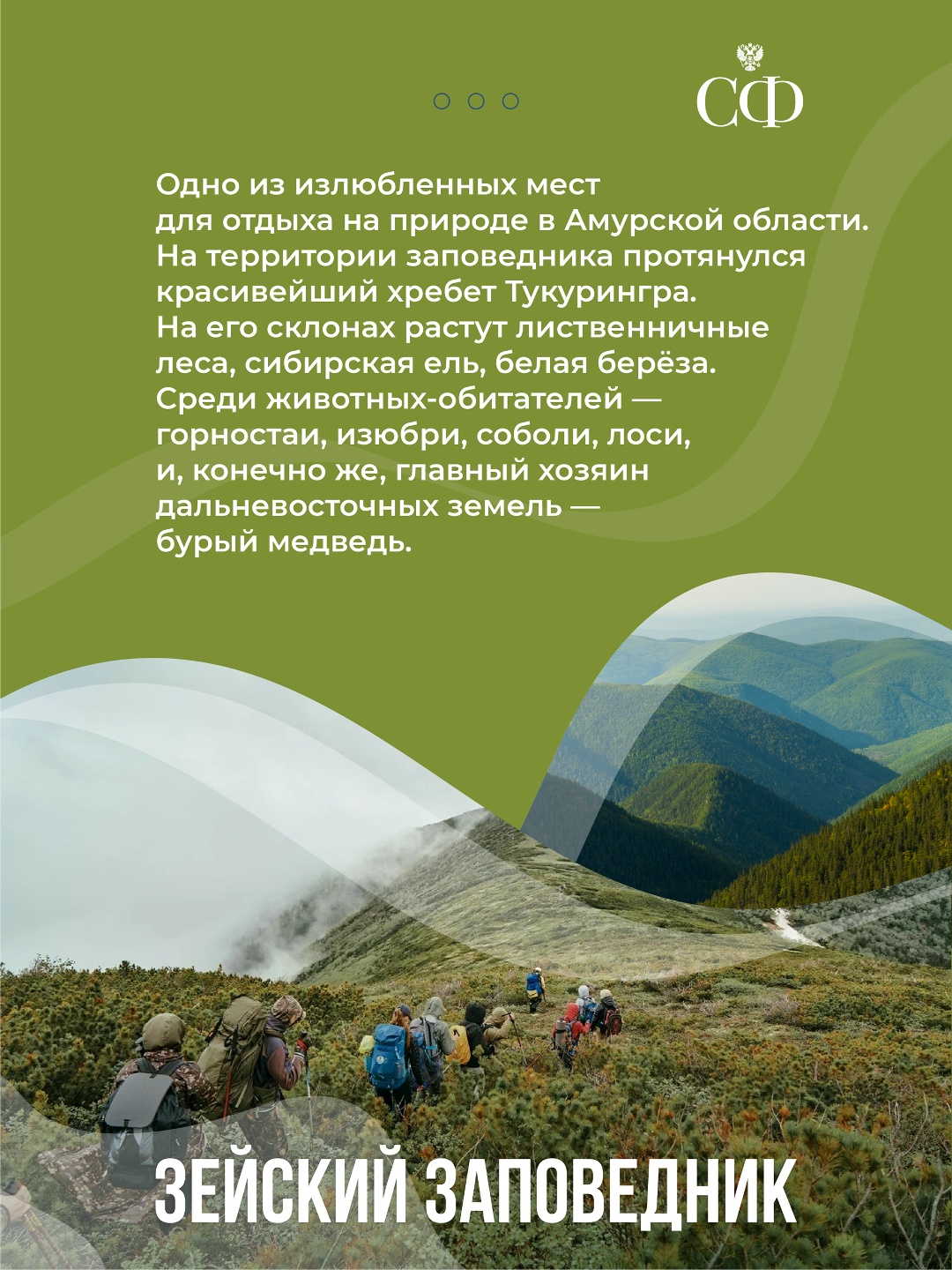 На пленарном заседании Совета Федерации начался «Час субъекта РФ», посвящённый Амурской области