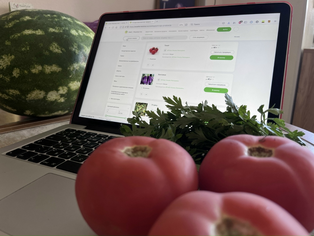 Отраслевые объединения производителей продуктов питания и ритейлеров обратились в правительство с просьбой приравнять продажу продовольствия через маркетплейсы…