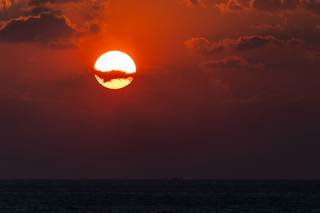 Из Южно-Китайского моря — прямиком вам в ленту!