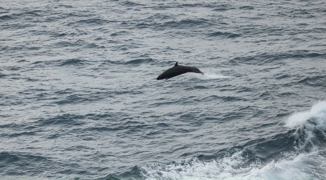 Из Южно-Китайского моря — прямиком вам в ленту!