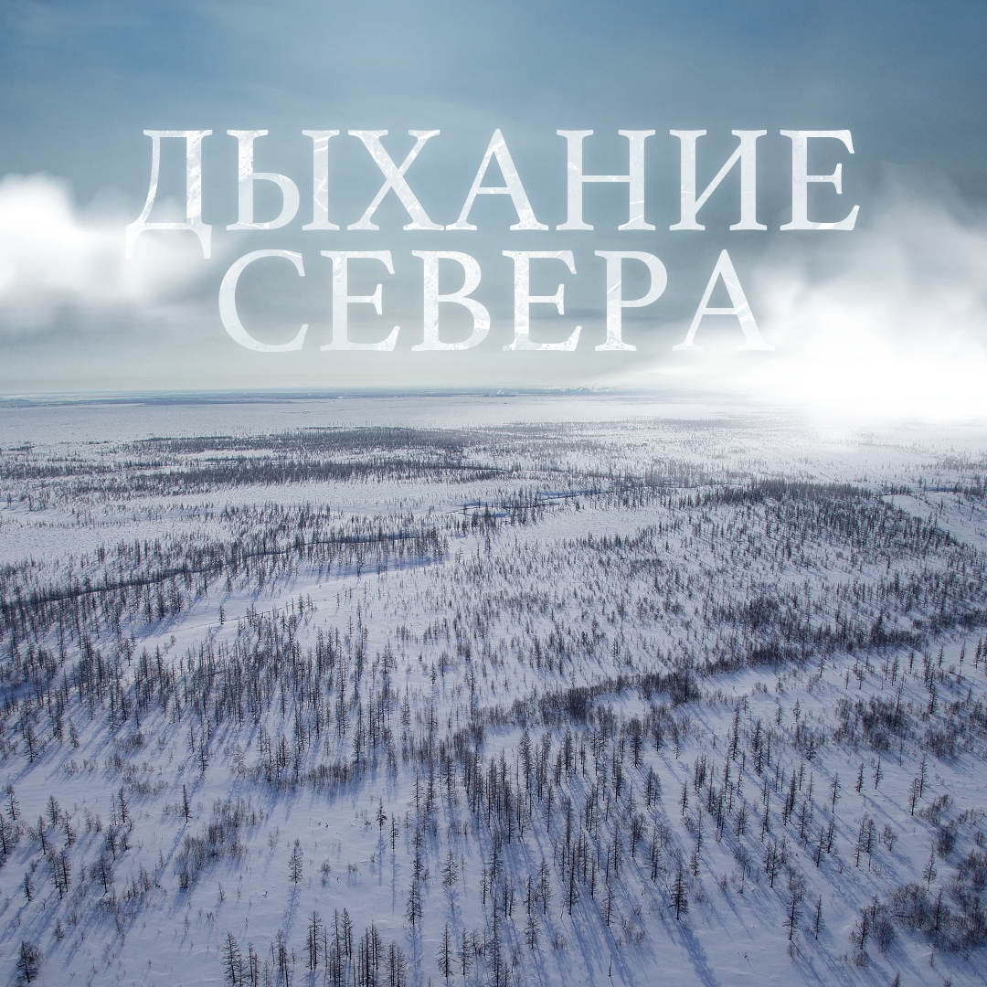 «Мороз и солнце»! Достаточно услышать первые слова из стихотворения Александра Пушкина «Зимнее утро», и в мыслях мигом возникает продолжение и образы,…