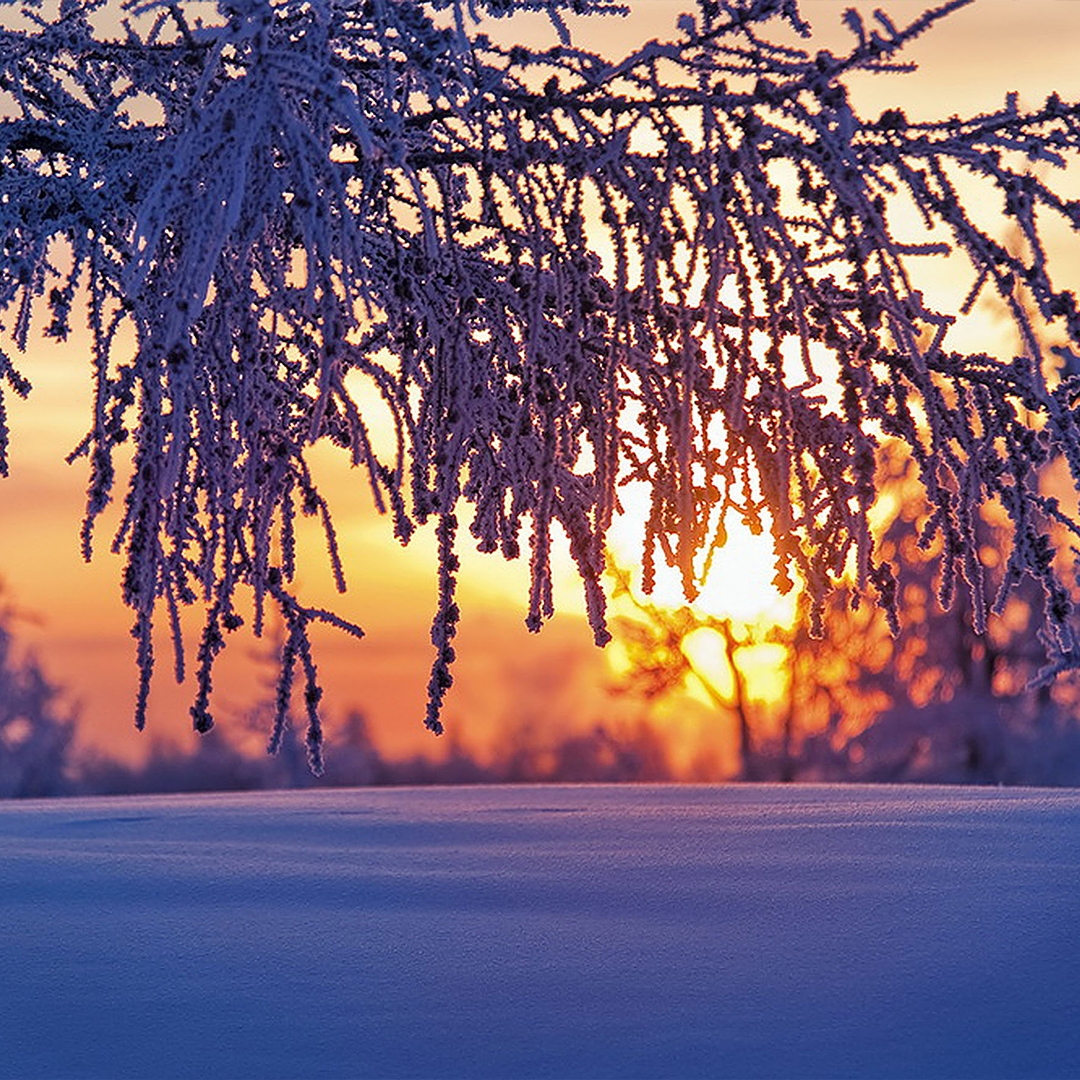 «Мороз и солнце»! Достаточно услышать первые слова из стихотворения Александра Пушкина «Зимнее утро», и в мыслях мигом возникает продолжение и образы,…