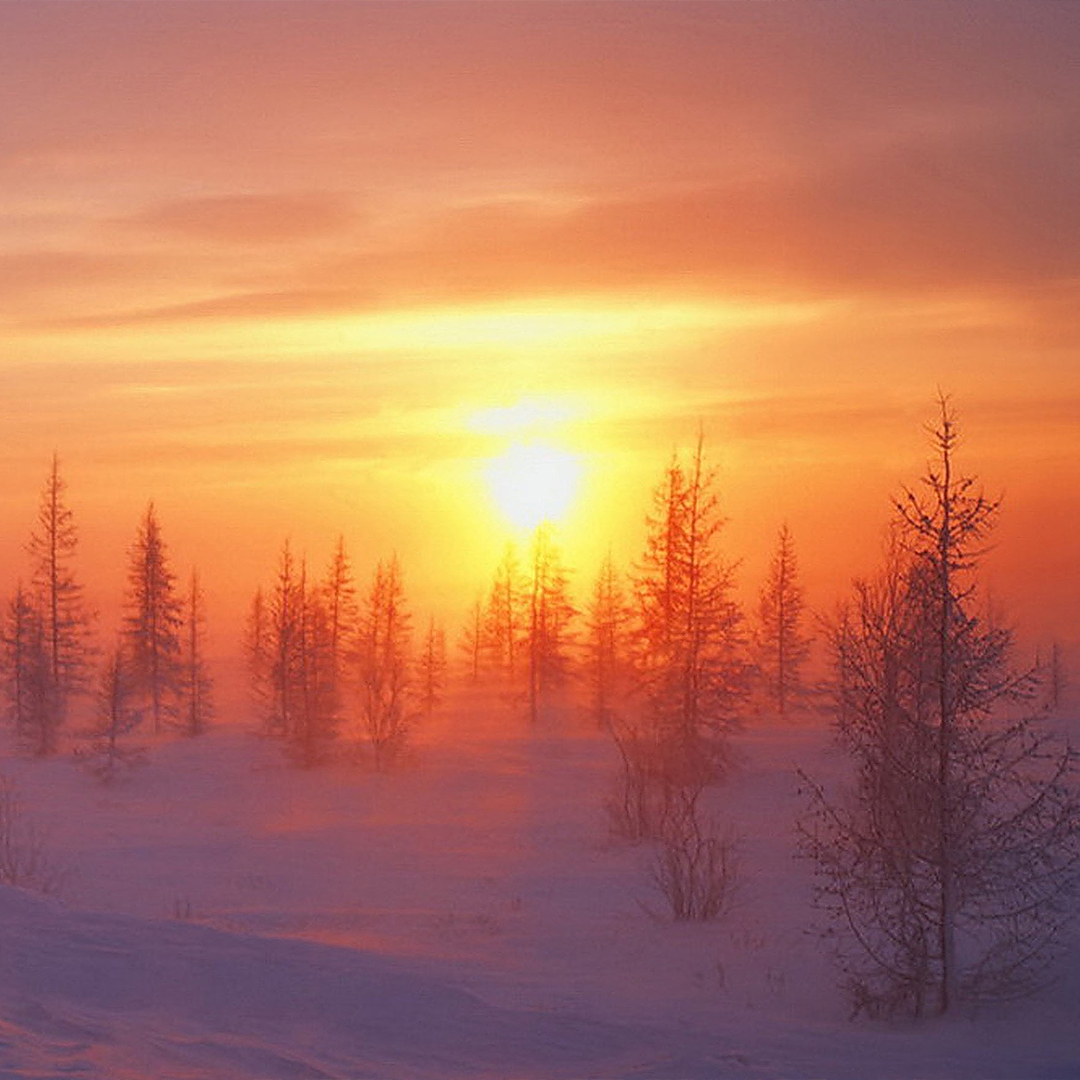 «Мороз и солнце»! Достаточно услышать первые слова из стихотворения Александра Пушкина «Зимнее утро», и в мыслях мигом возникает продолжение и образы,…