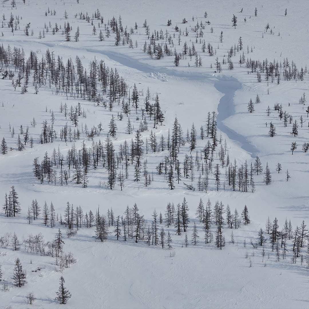 «Мороз и солнце»! Достаточно услышать первые слова из стихотворения Александра Пушкина «Зимнее утро», и в мыслях мигом возникает продолжение и образы,…