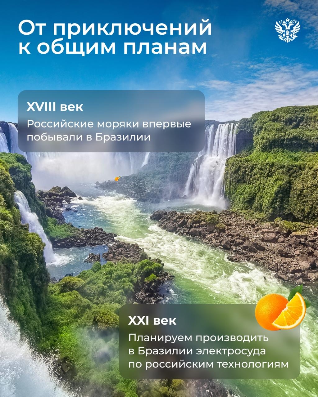 Если бы Чебурашка приехал в Россию сейчас, то наверняка из Бразилии