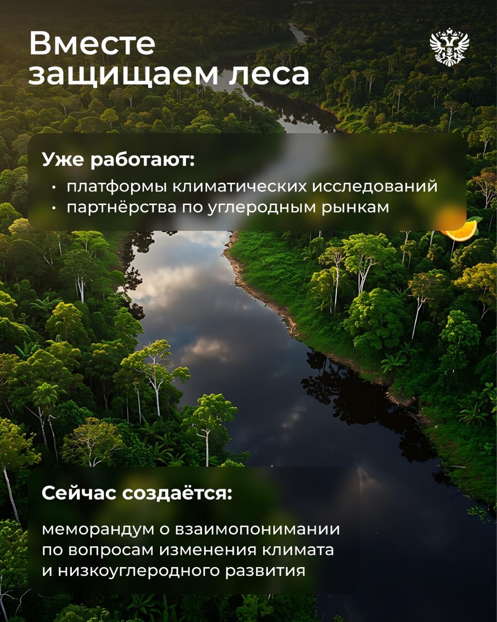 Если бы Чебурашка приехал в Россию сейчас, то наверняка из Бразилии