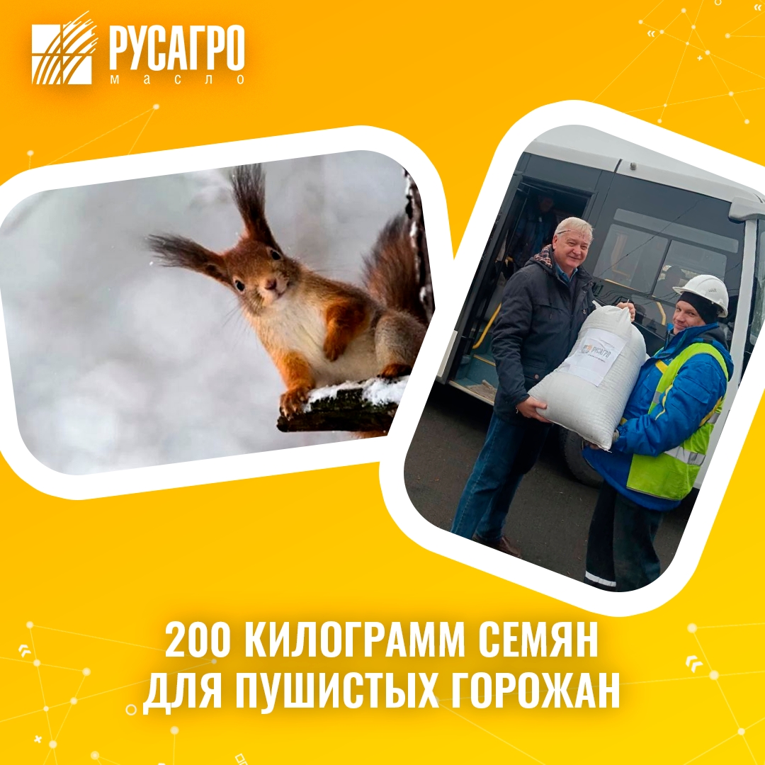 Сотрудники «Русагро Масло» передали 200 килограммов семян подсолнечника для подкормки белок в городских парках.
