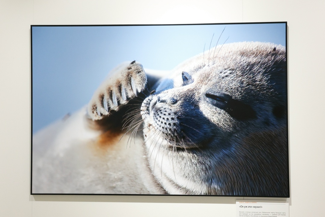 Валентина Матвиенко: Природа России — целая вселенная: такой красоты, богатства, палитры красок нет нигде в мире