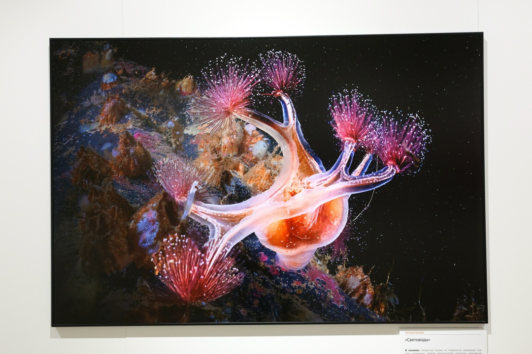 Валентина Матвиенко: Природа России — целая вселенная: такой красоты, богатства, палитры красок нет нигде в мире