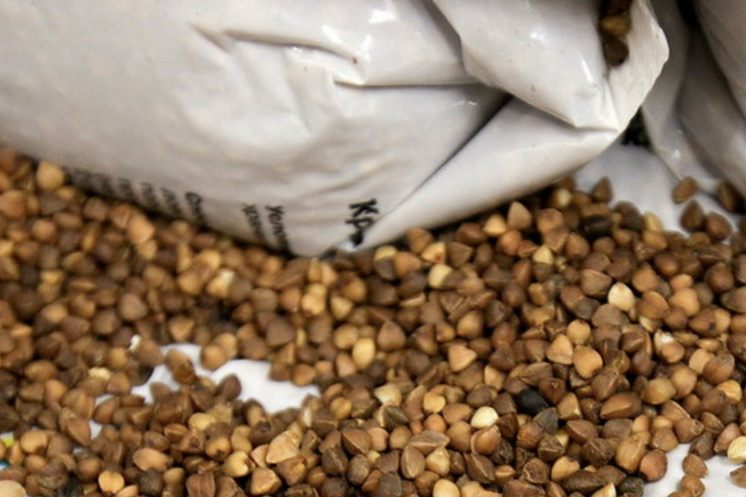 Урожай гречихи в 2025 году составил 923,4 тыс. т, внутренние потребности и экспортные поставки будут обеспечены в полном объеме, сообщили ТАСС в аппарате…